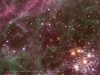 nebula_thehodgewallpaper